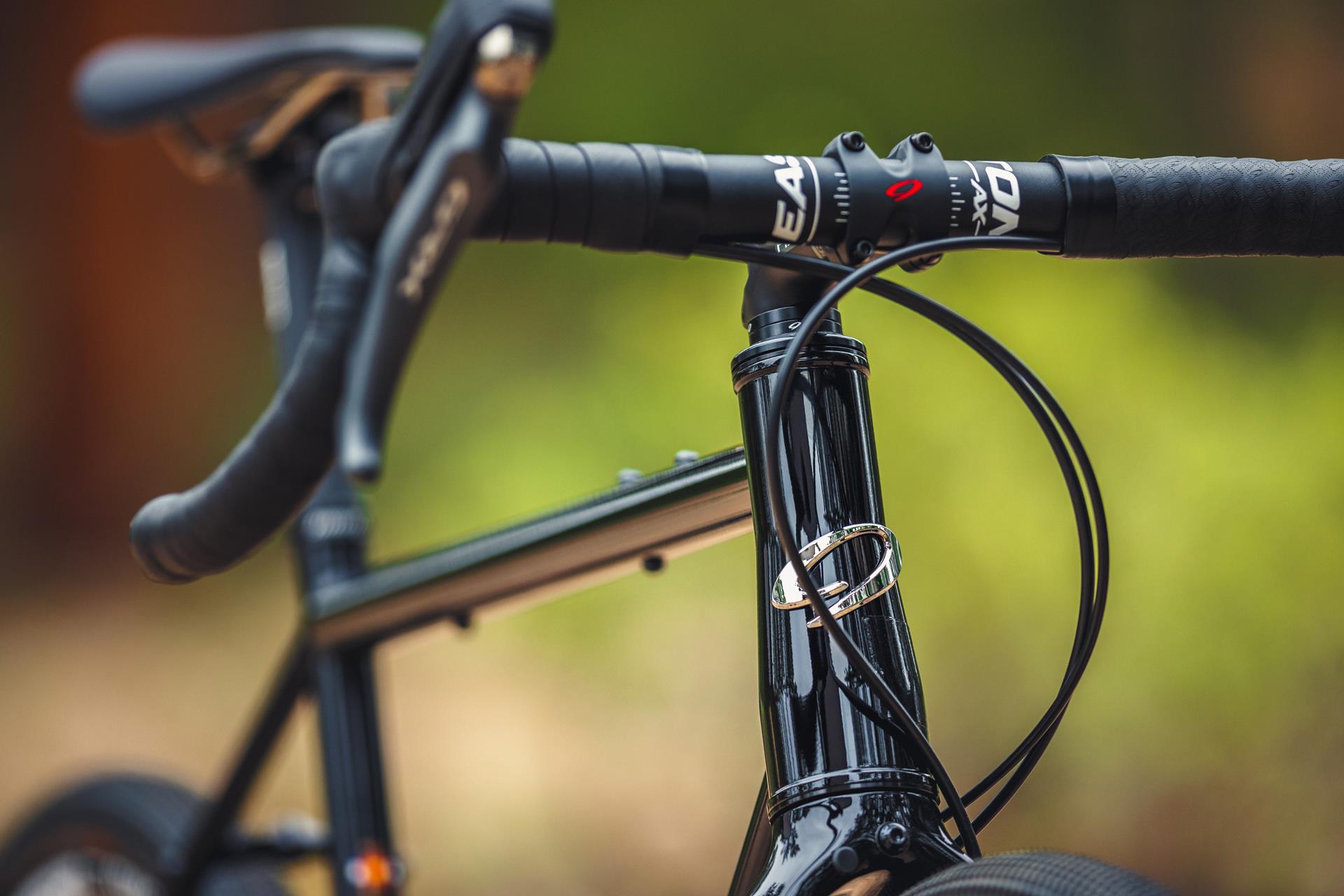 Niner RLT 2-star bike, Black Bronze, 56