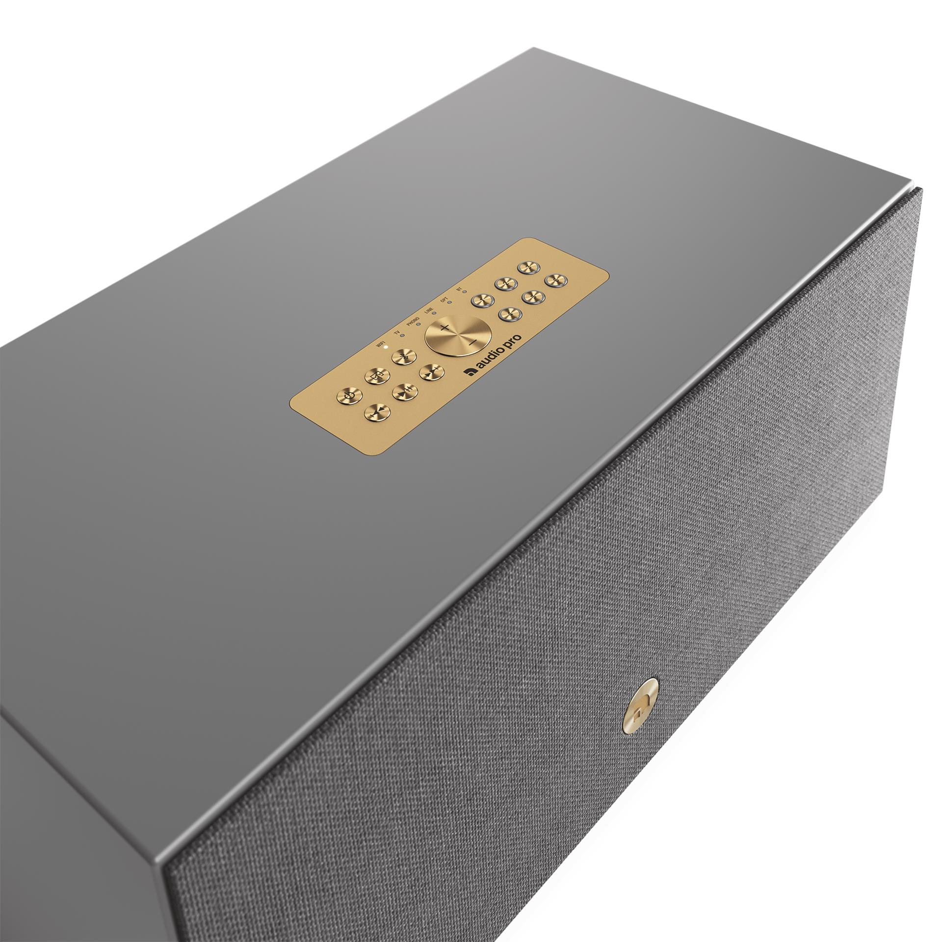 Акустическая система Audio Pro C20 WiiM, серая