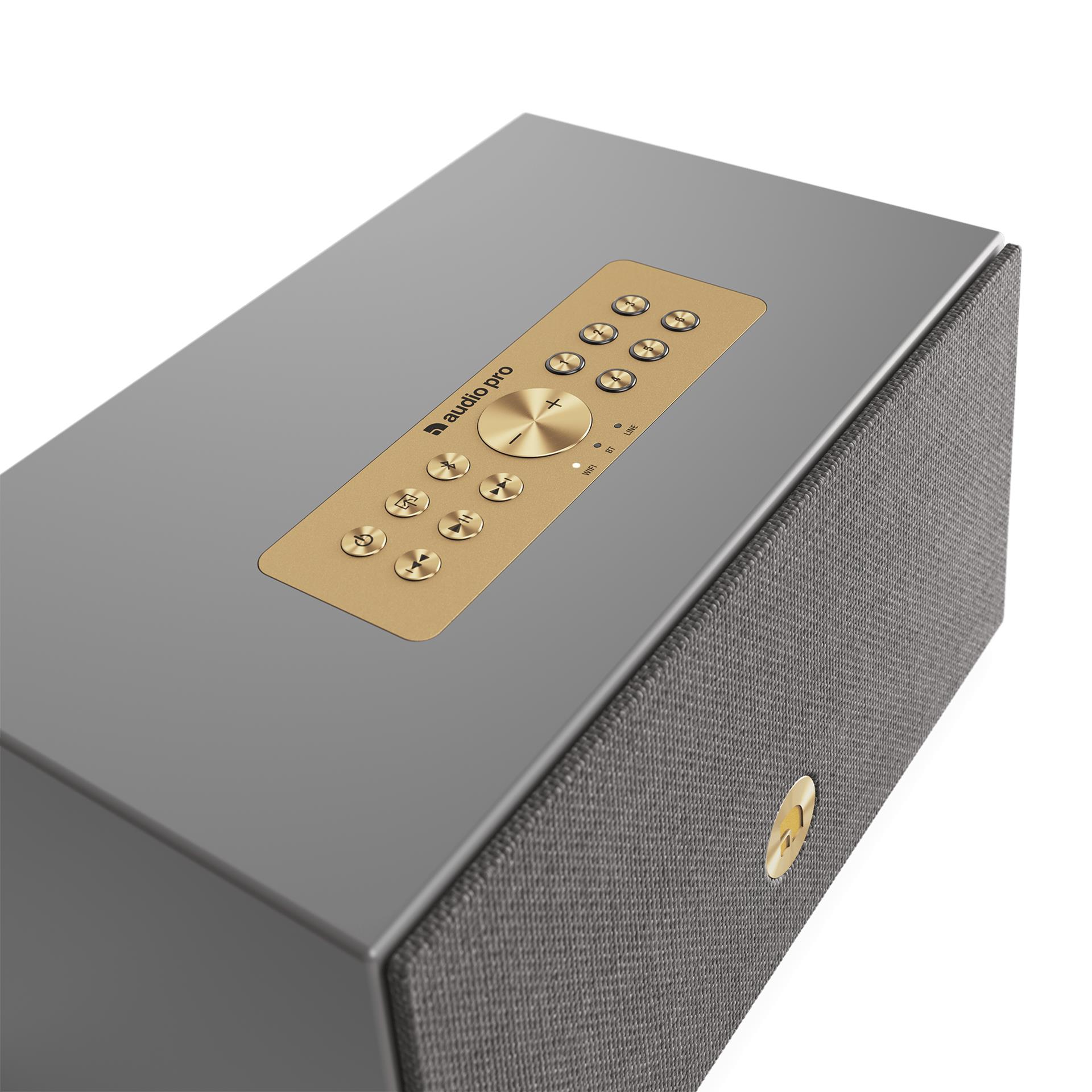 Акустическая система Audio Pro C5 MkII WiiM, серая