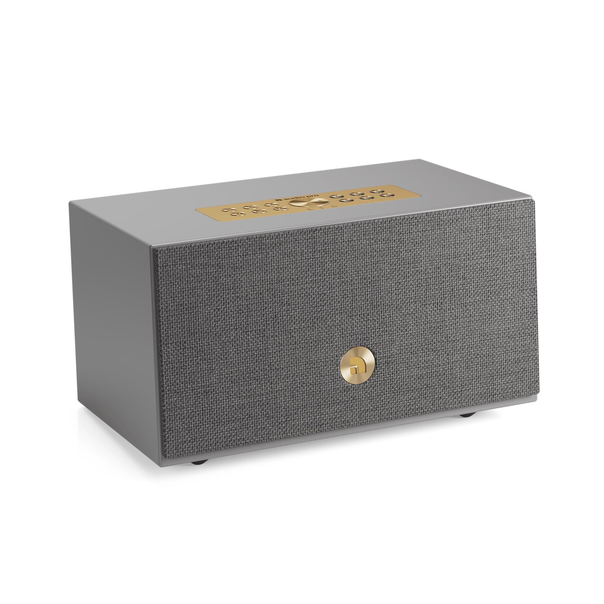 Акустическая система Audio Pro C5 MkII WiiM, серая