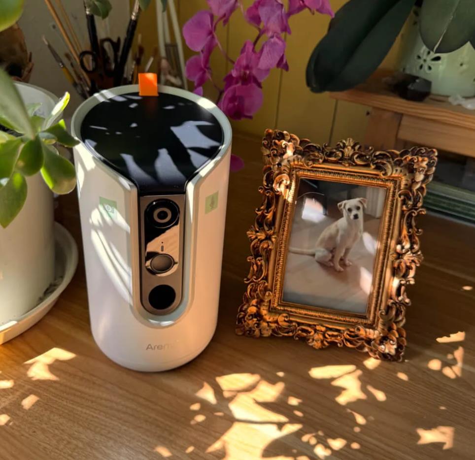 Arenti Petcam 2K Wifi Dual Band Petcamera