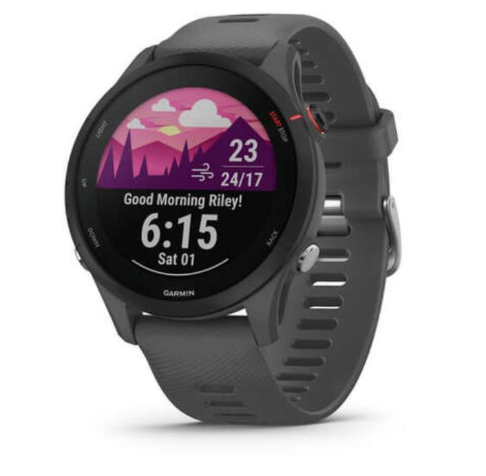 DB Forerunner 255 Basic, GPS, EU/PAC, Slate Grey