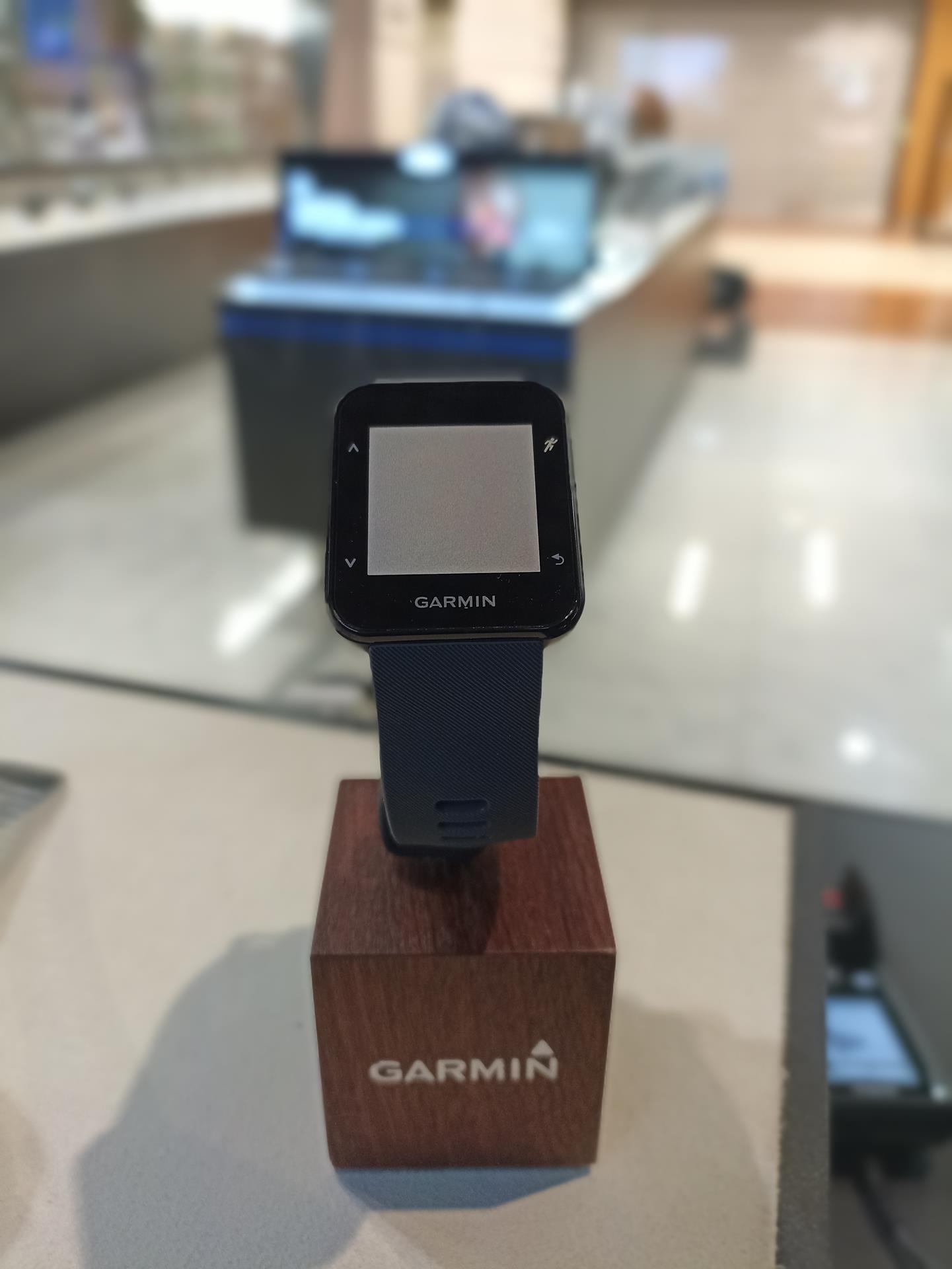 DEMO Forerunner 30,Slate Grey