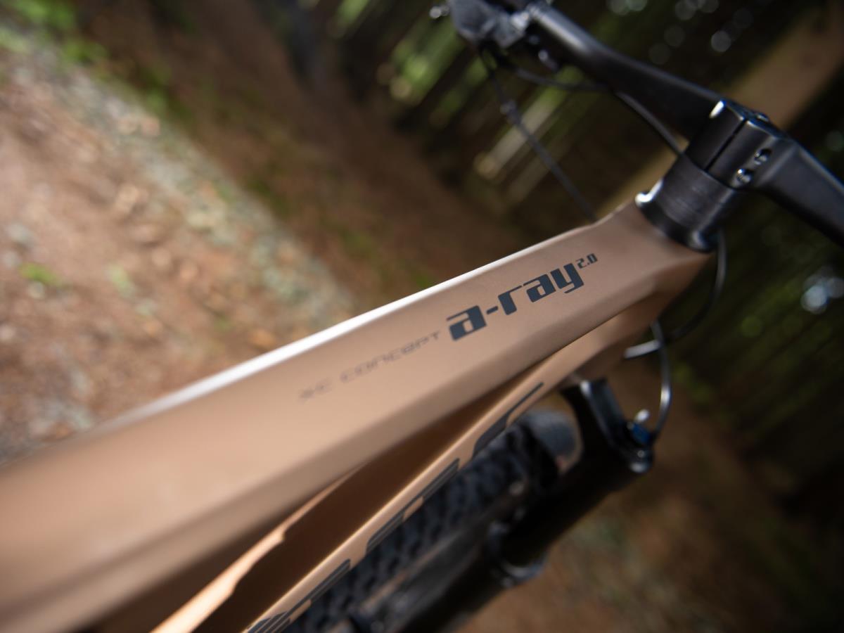 Author A-Ray 2.0 29 Bronze Age matte/Black 20,5" 2026