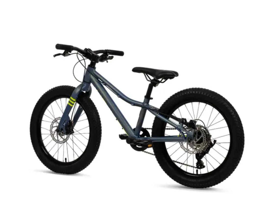 Batch Bicycles 20" MTB CHAMELEON