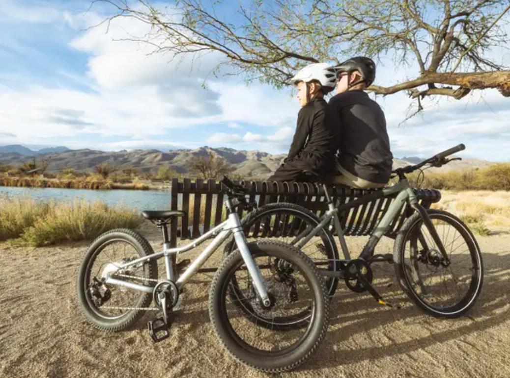 Batch Bicycles 20" MTB CHAMELEON