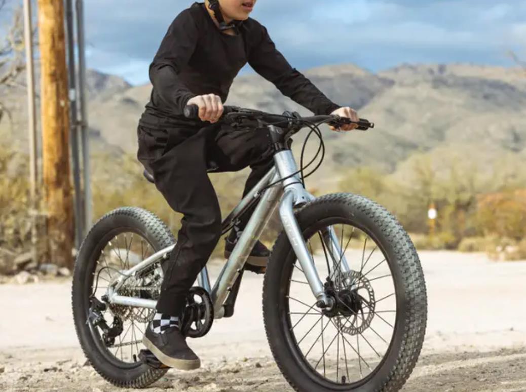 Batch Bicycles 20" MTB CHAMELEON