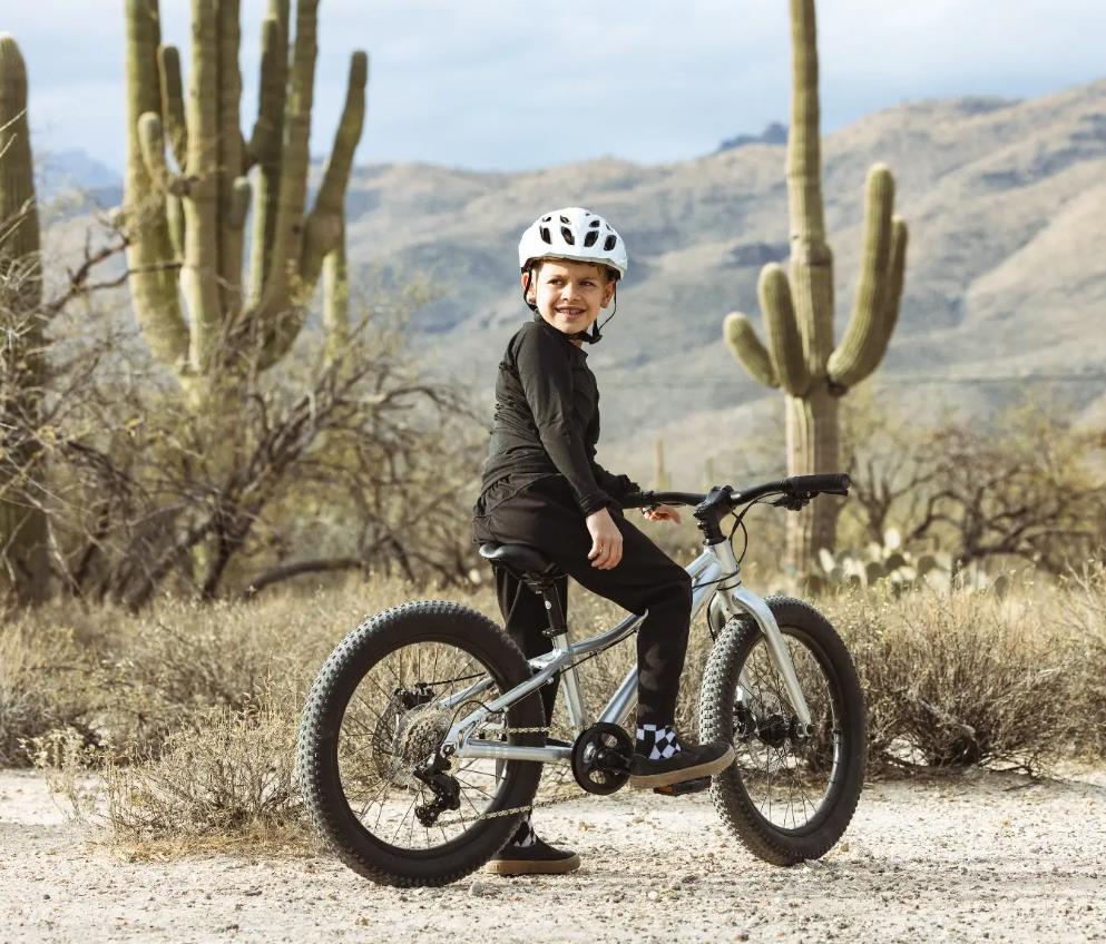 Batch Bicycles 20" MTB CHAMELEON