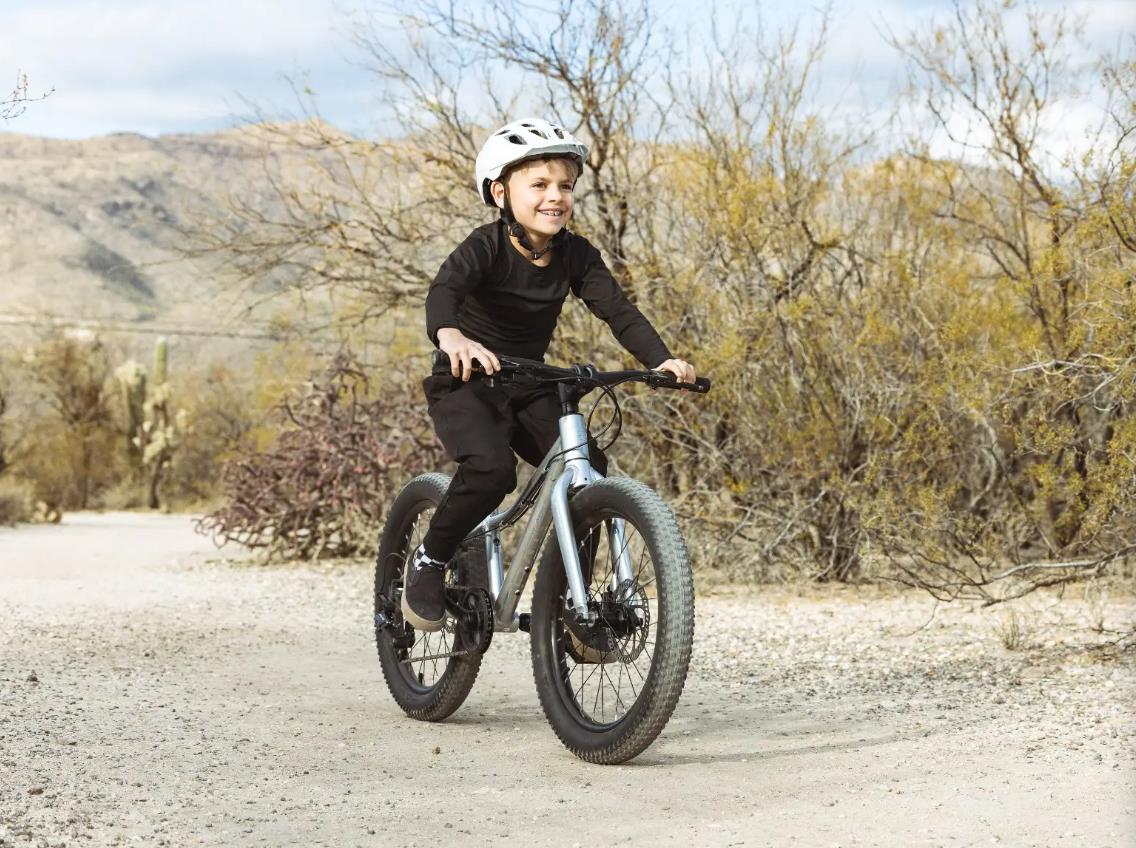 Batch Bicycles 20" MTB CHAMELEON