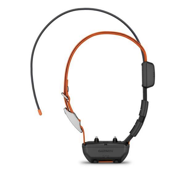 Alpha T20 Dog Collar EURC