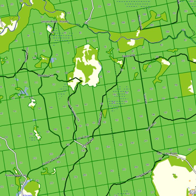 Карта Латвии для навигации Garmin (Jana Seta) с лесными массивами