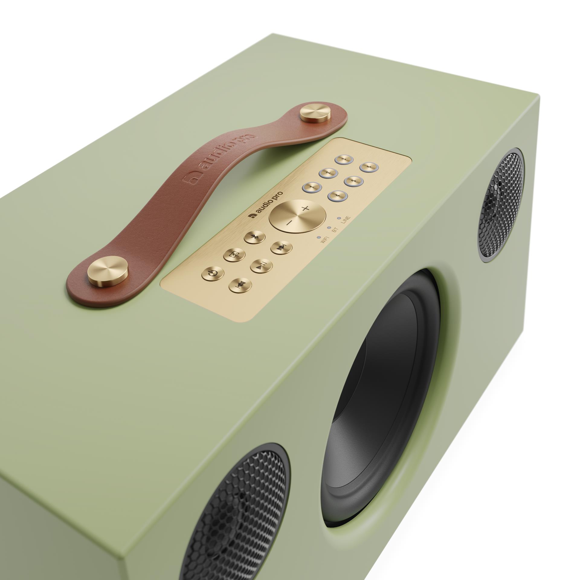 Audio Pro C10 MkII wireless Multiroom speaker, Sage Green