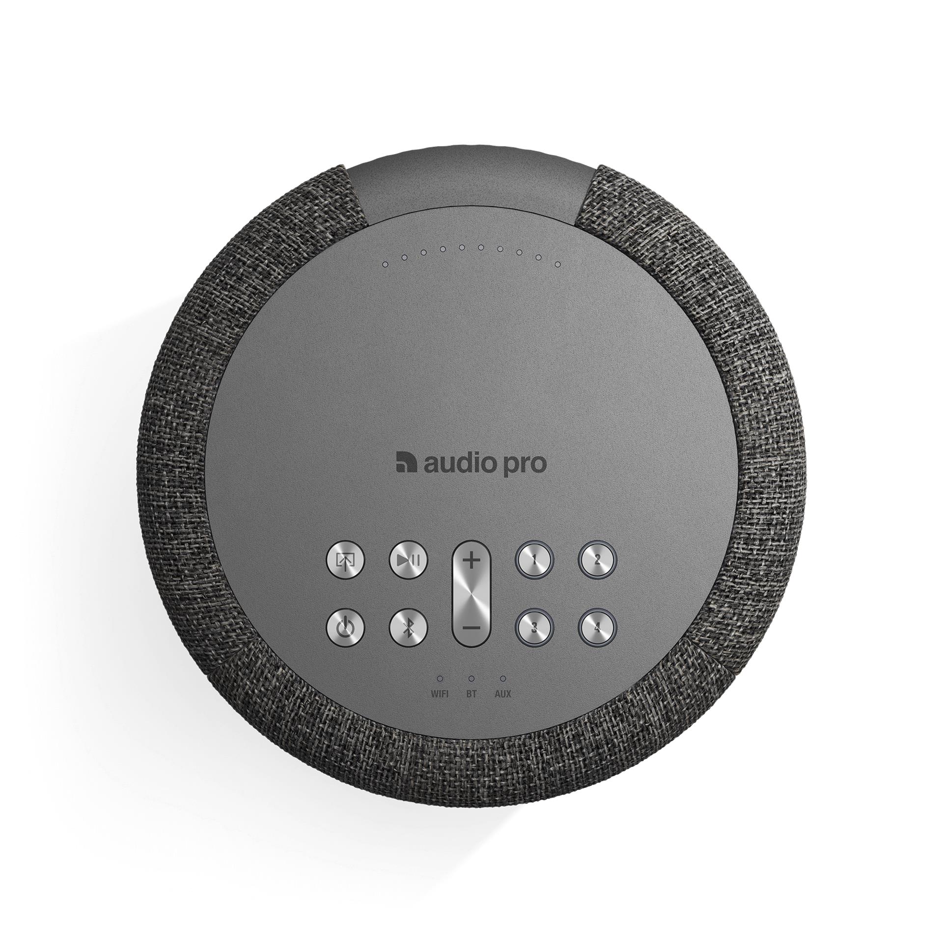 Audio Pro A10 MkII bezvadu Bluetooth skaļrunis, Tumši Pelēks